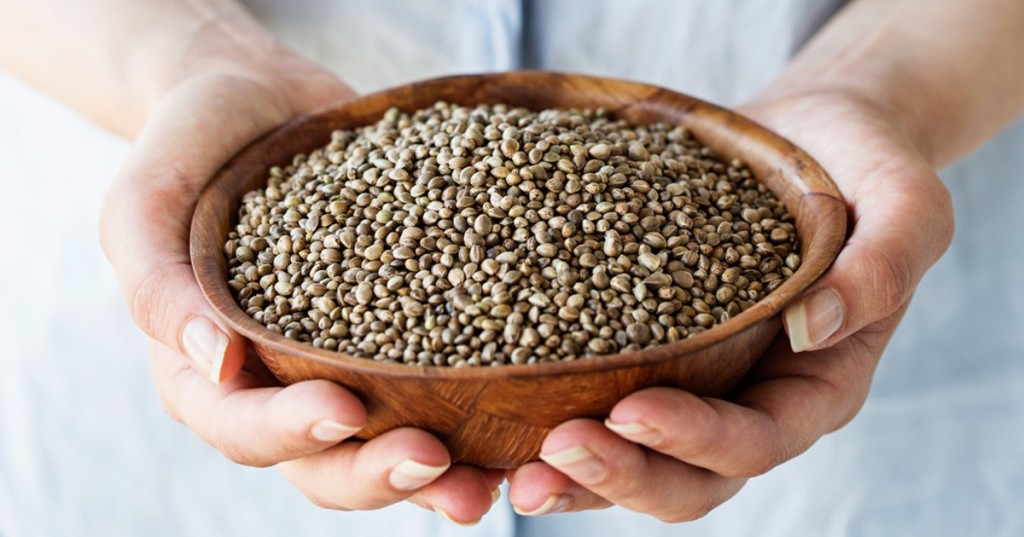 What are Hemp Seeds? What to Know About this Nutrient-Dense Food